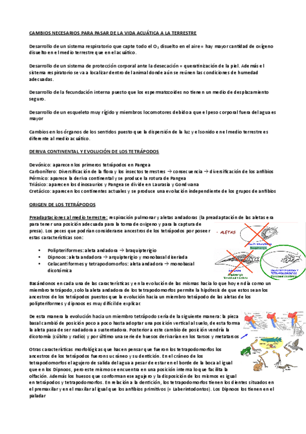 Miniatura del documento tema-5-zoo.pdf