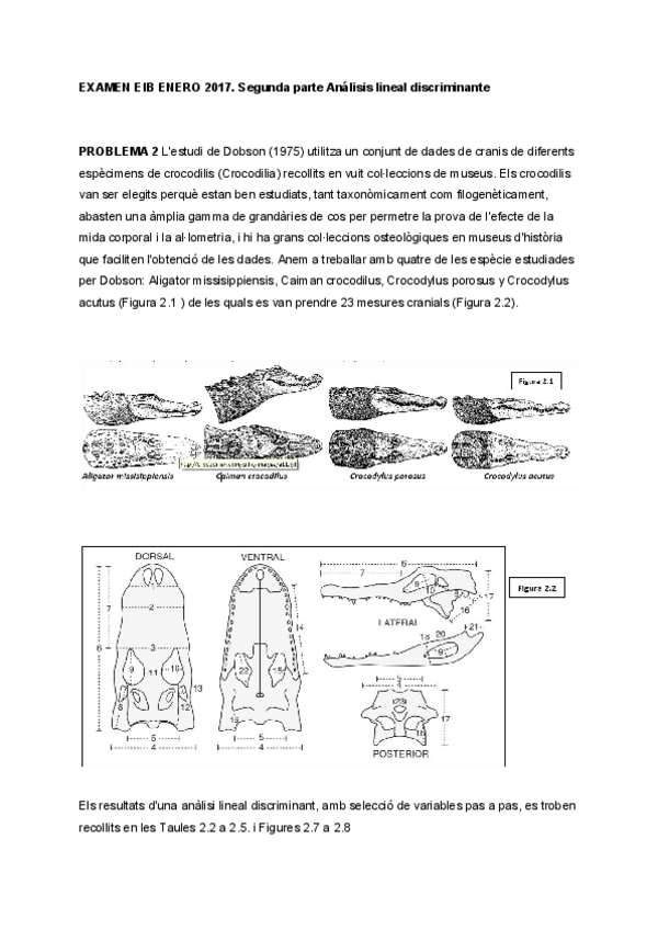 Miniatura del documento Examen-resuelto-EIB-Cocodrilos-Parte-2.pdf