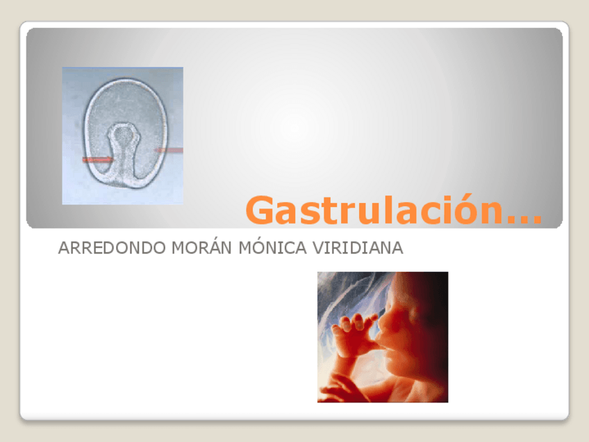 Miniatura del documento GastrulacionMVAM.pdf