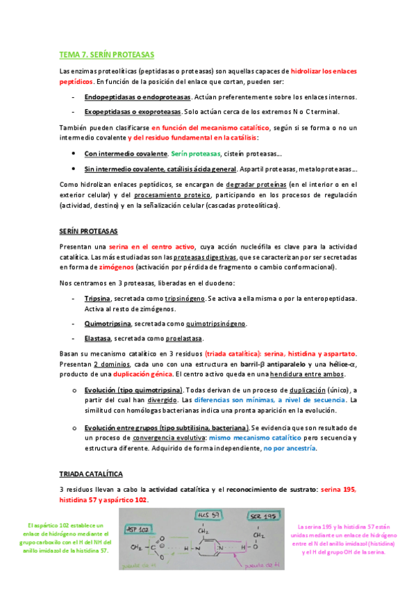 Miniatura del documento TEMA-7.pdf