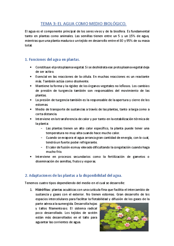 Miniatura del documento Tema-3-Fisio-Vegetal.pdf