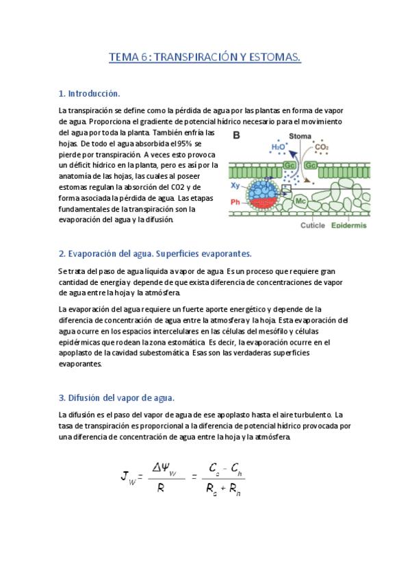 Miniatura del documento TEMA-6.pdf
