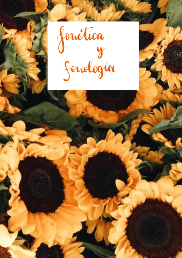 Miniatura del documento TEMA2-FONETICAYFONOLOGIA.pdf