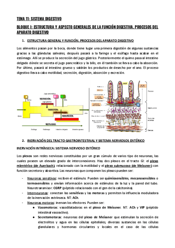 Miniatura del documento TEMA-11-COMPLETO-2.pdf