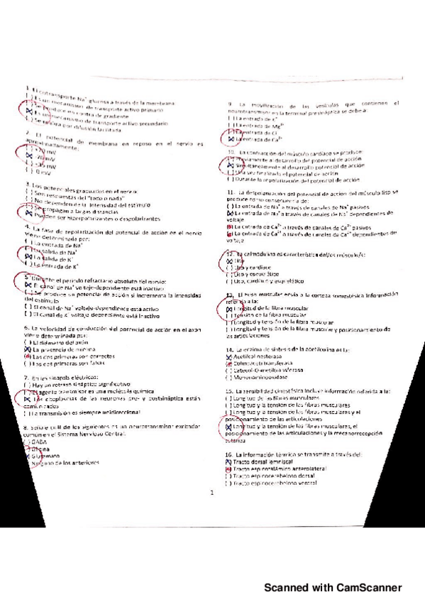 Miniatura del documento Fisio-1.pdf
