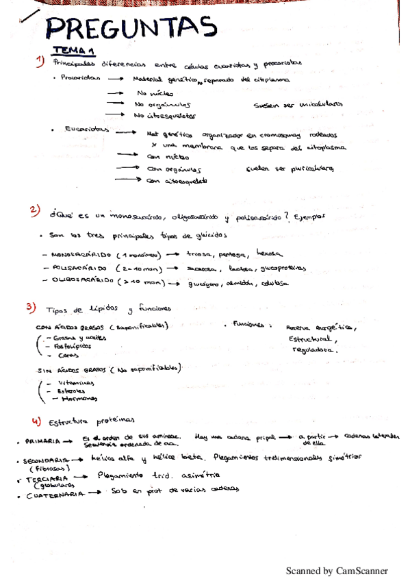 Miniatura del documento NuevoDocumento-2020-01-02-13.pdf
