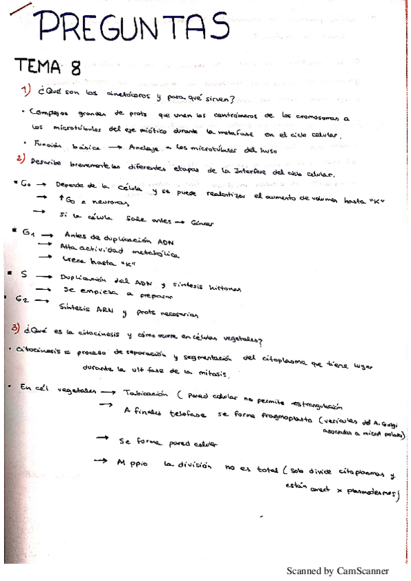 Miniatura del documento NuevoDocumento-2020-01-02-13.pdf