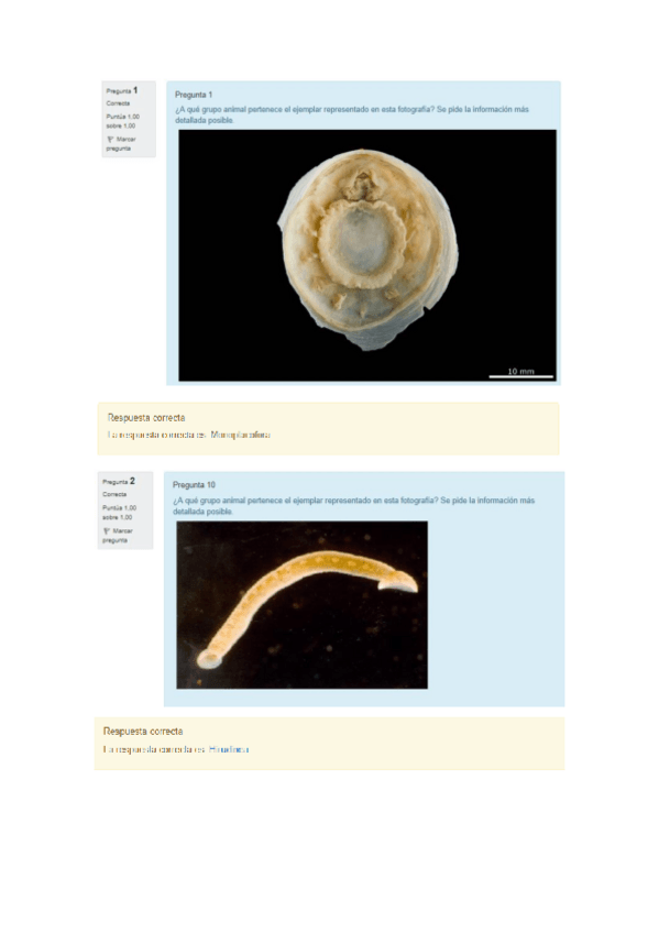 Miniatura del documento Examen-mayo-2018-A.pdf