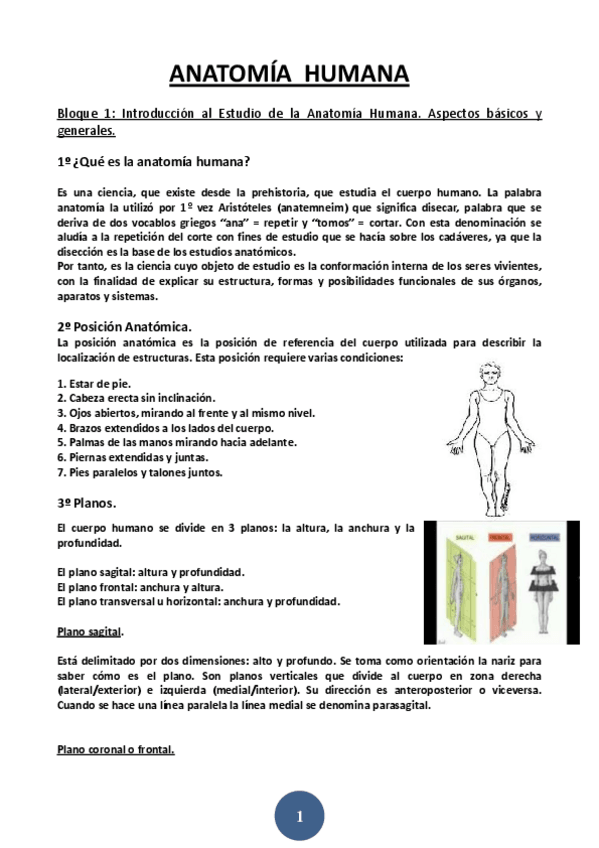 Miniatura del documento apuntes-de-anatomia-bloque-1-.pdf