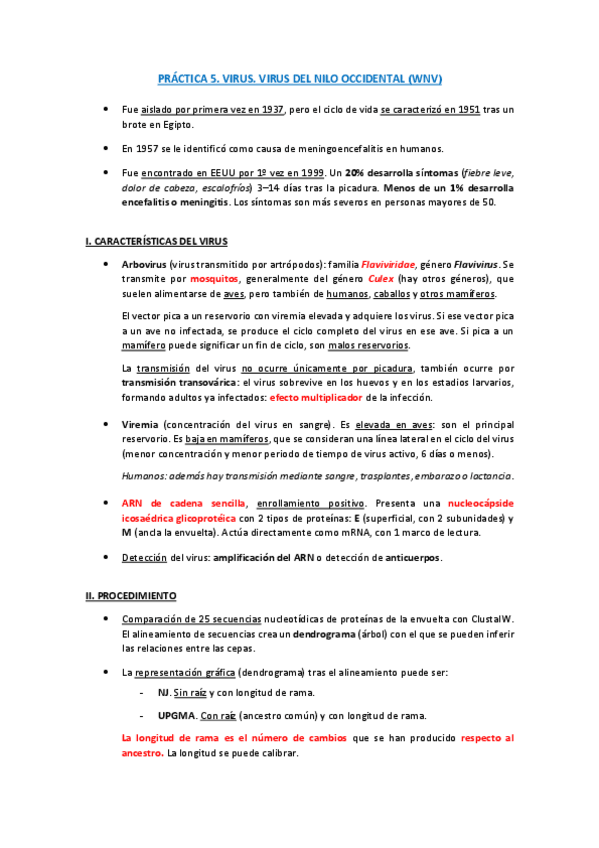 Miniatura del documento PRACTICA-5.pdf