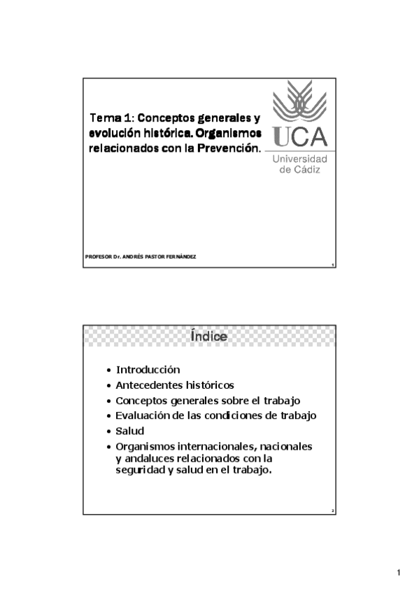 Miniatura del documento MIIPrevencionTema1.pdf