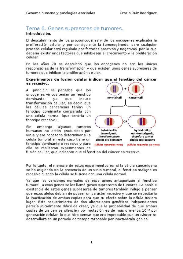 Miniatura del documento Tema-6.docx