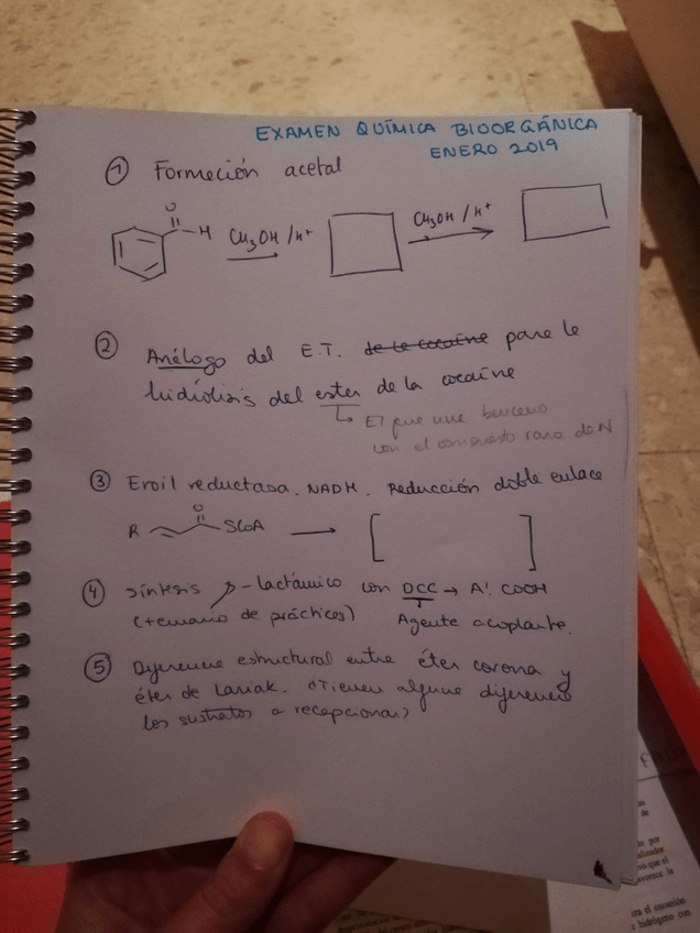 Miniatura del documento IMG-20190517-WA0066.jpg