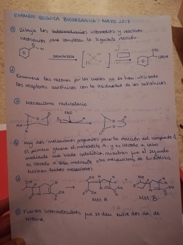 Miniatura del documento IMG-20190517-WA0065.jpg