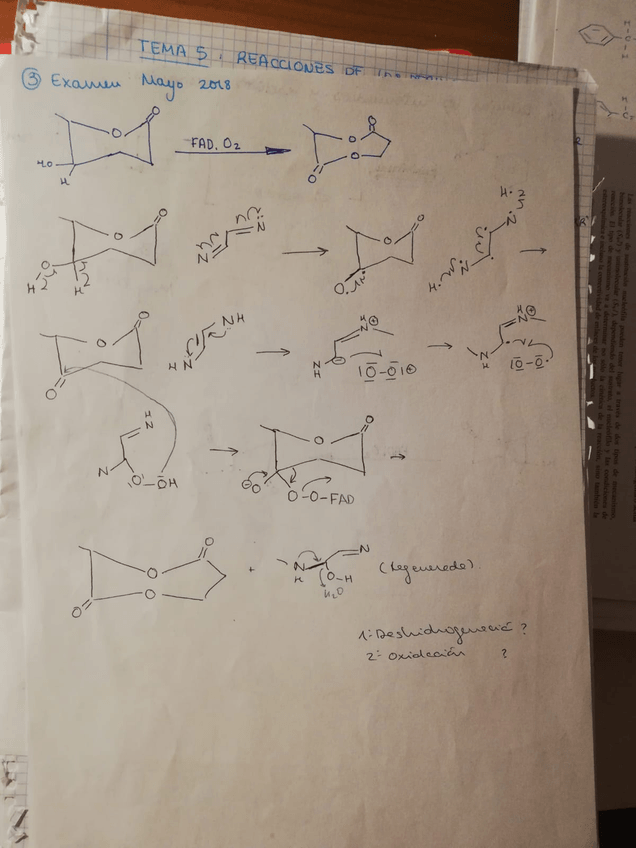 Miniatura del documento IMG-20190517-WA0084.jpg