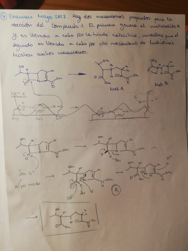 Miniatura del documento IMG-20190517-WA0083.jpg
