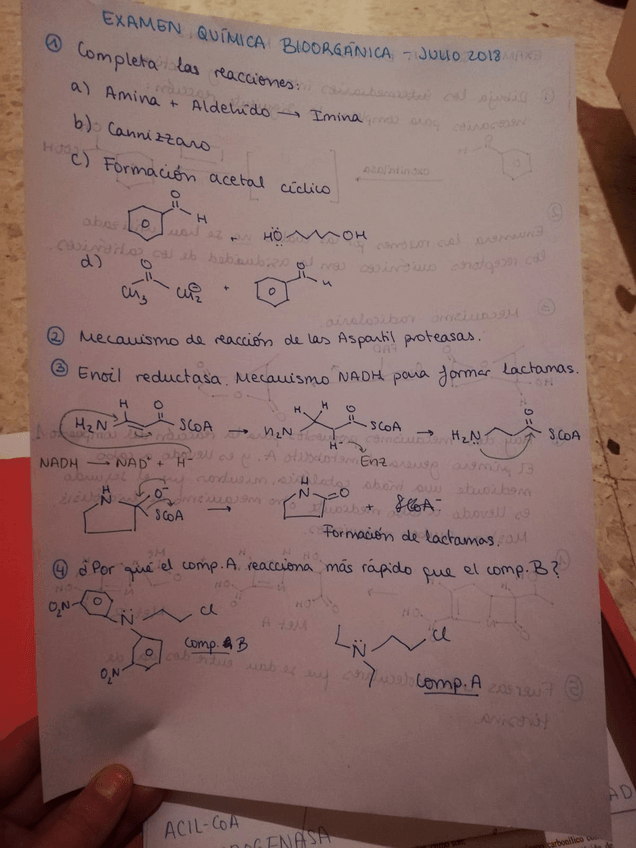 Miniatura del documento IMG-20190517-WA0064.jpg