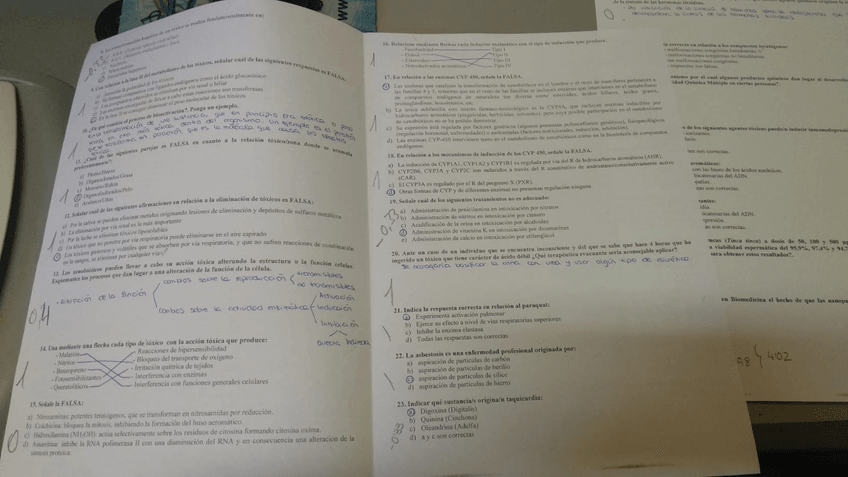 Miniatura del documento IMG-20190121-WA0024.jpg