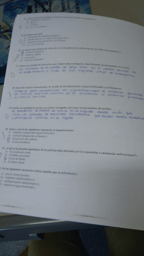 Miniatura del documento IMG-20190121-WA0021.jpg