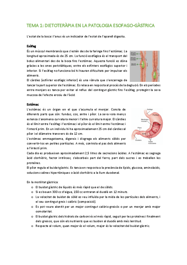 Miniatura del documento BLOC-1-DIGESTIU-.pdf