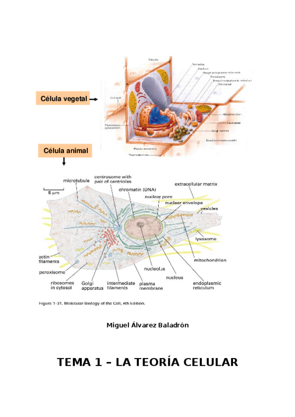 Miniatura del documento BIOLOGIA-CELULAR-T1-T21FINAL.docx