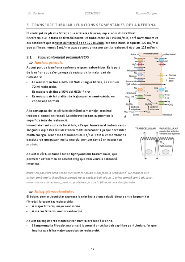 Miniatura del documento Fisiologia-Renal-Part-2.pdf