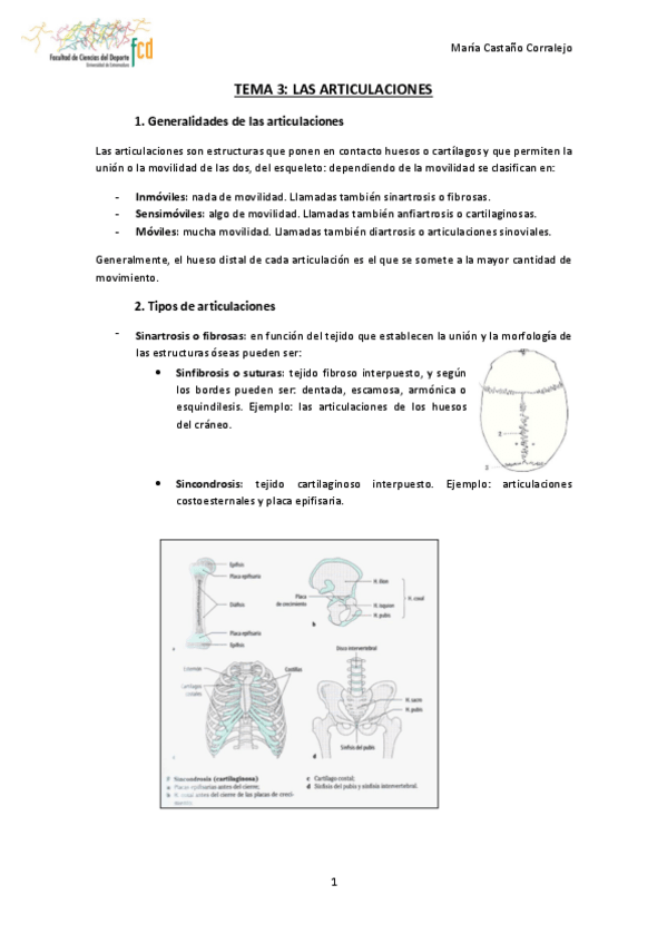 Miniatura del documento TEMA-3-ANATOMIA.pdf