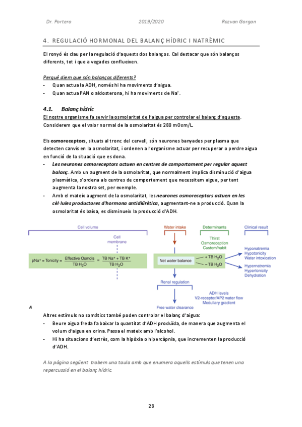 Miniatura del documento Fisiologia-Renal-Part-3.pdf