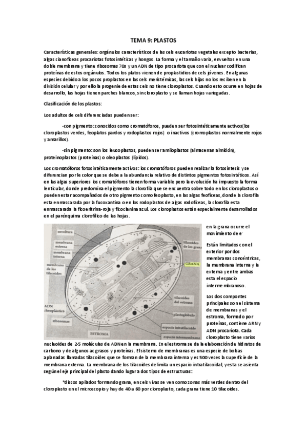 Miniatura del documento plastos.pdf
