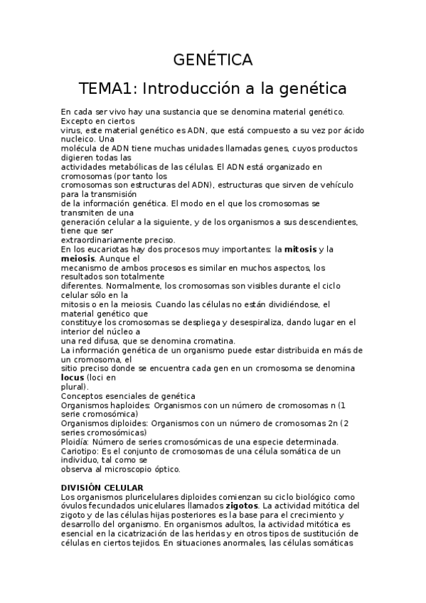 Miniatura del documento TEORIA.docx