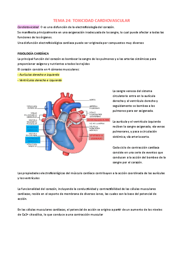 Miniatura del documento TEMA-24.pdf