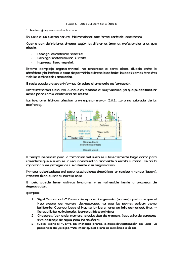 Miniatura del documento Tema-5.pdf