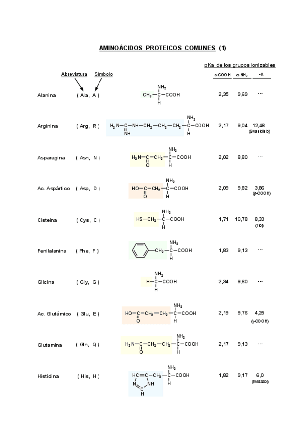 Miniatura del documento Estructura-de-aminoacidos.pdf