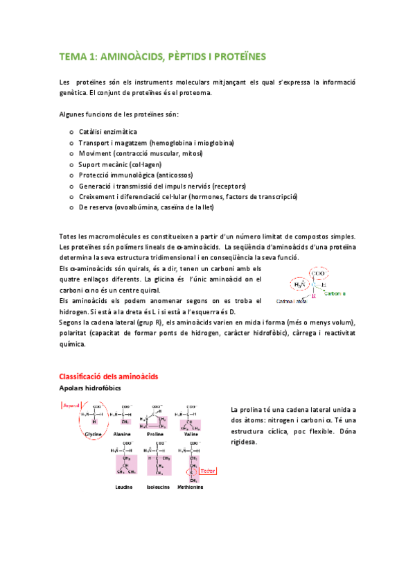 Miniatura del documento TEMARI-BIOQUIMICA.pdf