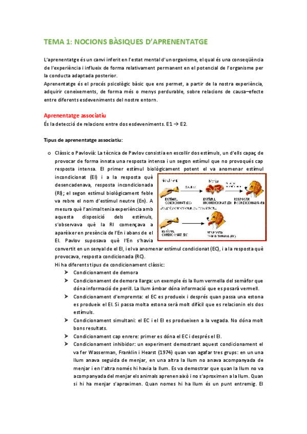 Miniatura del documento TEMARI-ANTROPOLOGIA.pdf