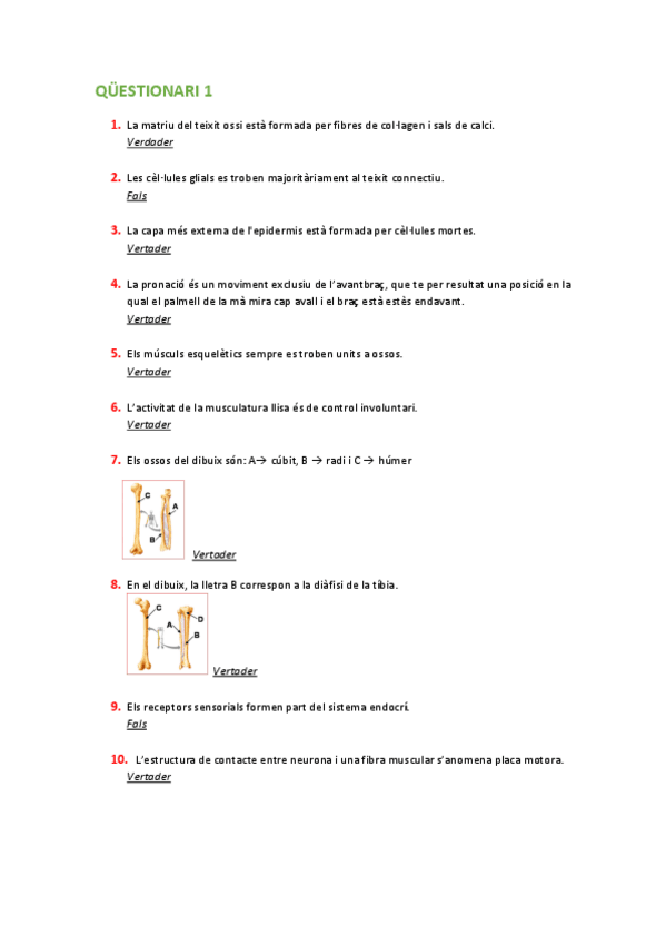 Miniatura del documento QUESTIONARIS.pdf