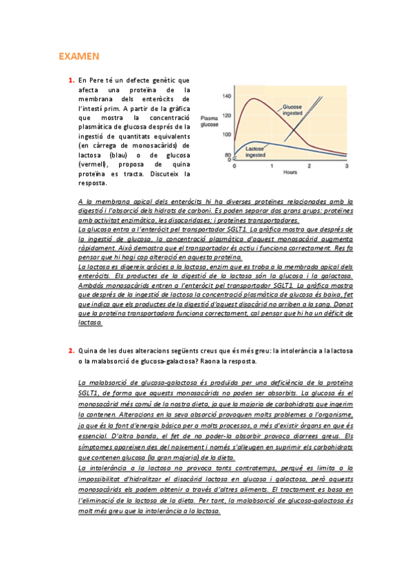 Miniatura del documento EXAMEN.pdf