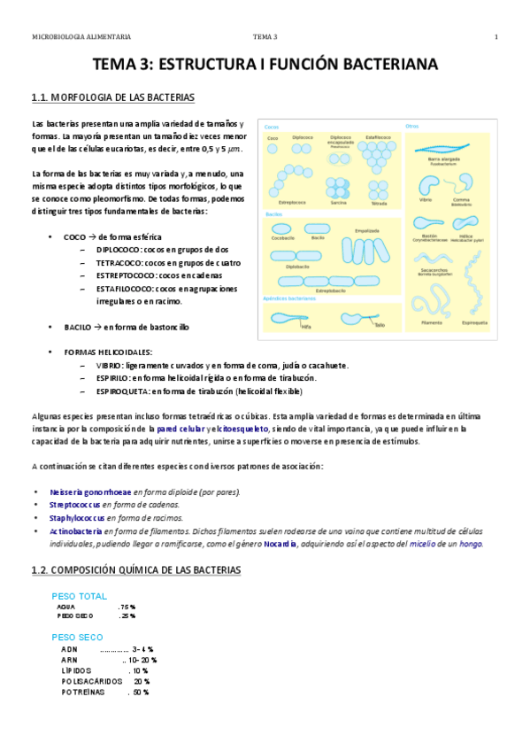 Miniatura del documento TEMA 3.pdf