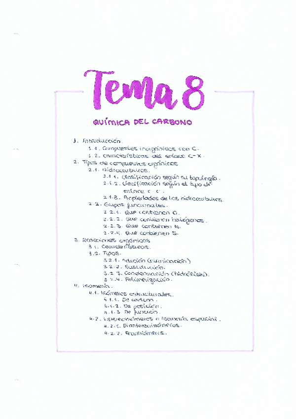 Miniatura del documento Tema8QuimicaOrganica.pdf