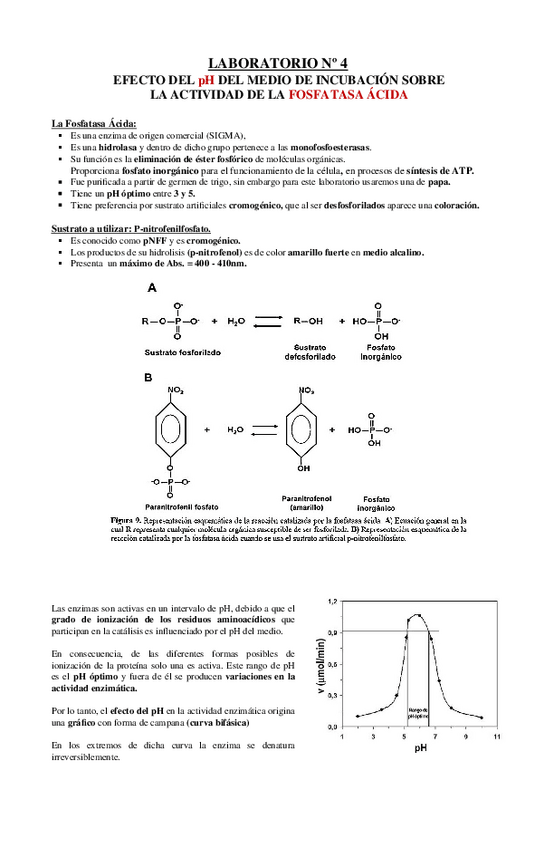 Miniatura del documento efecto-del-pH-del-medio-de-incubacion-sobre-la-actividad-de-la-fos.docx