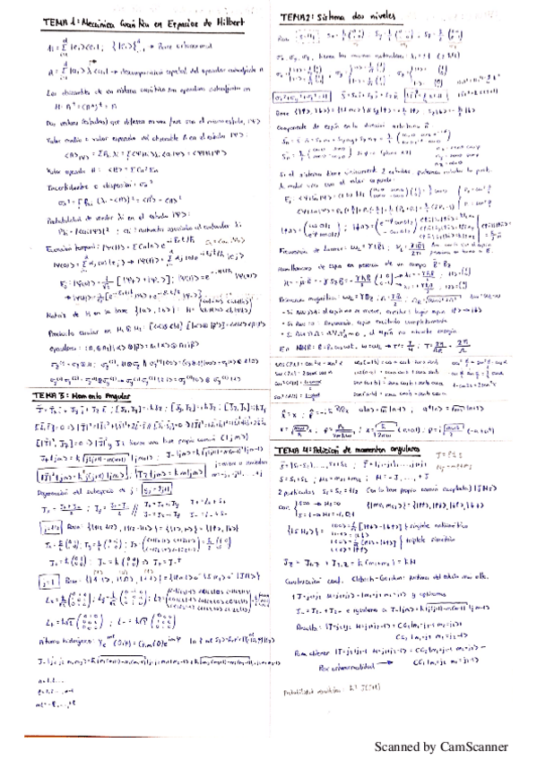 Miniatura del documento formulario-cuantica.pdf