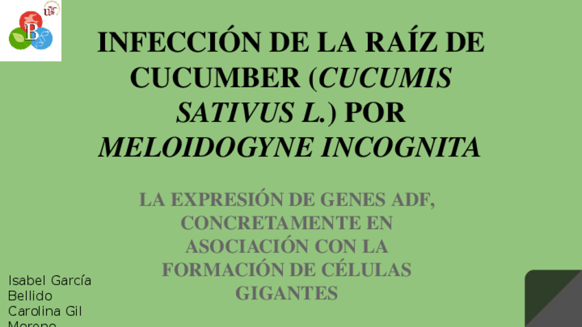 Miniatura del documento Articulo-metabolismo-sec-1.pptx