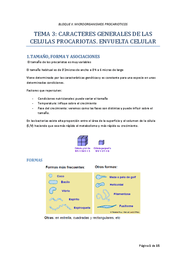 Miniatura del documento TEMA_03_MICRO_I_RODELAS.pdf