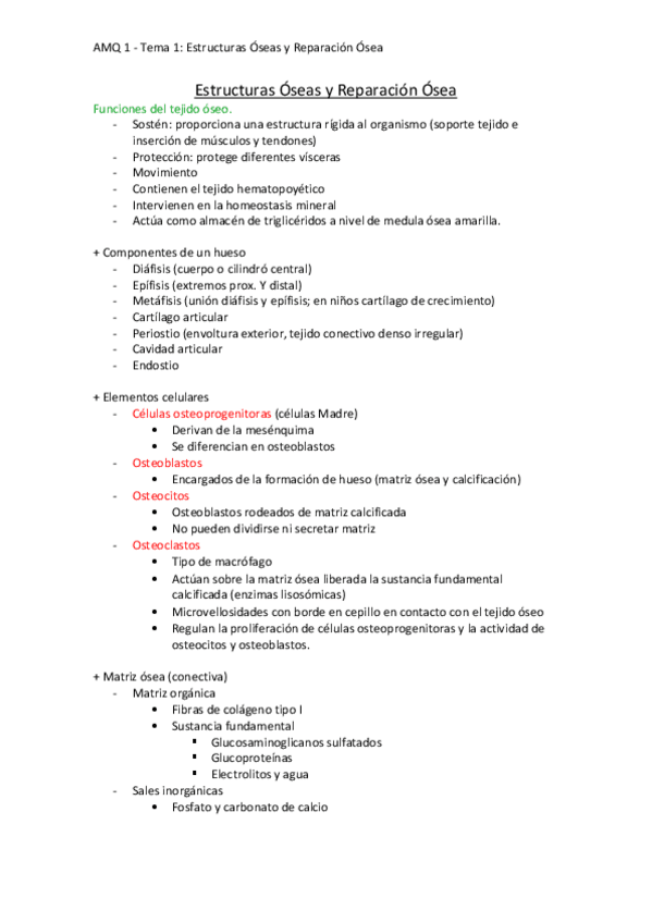 Miniatura del documento Oseo. T1 - Estructuras Óseas y Reparación Ósea .pdf