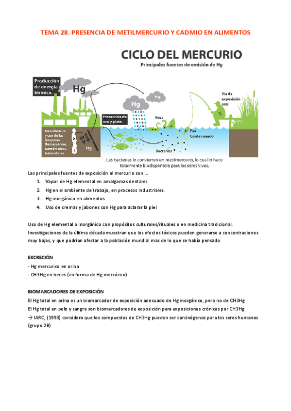 Miniatura del documento TEMA-28.pdf