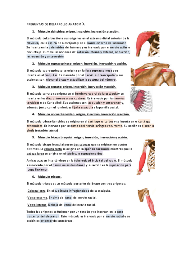 Miniatura del documento preguntas-resueltas-anato.pdf