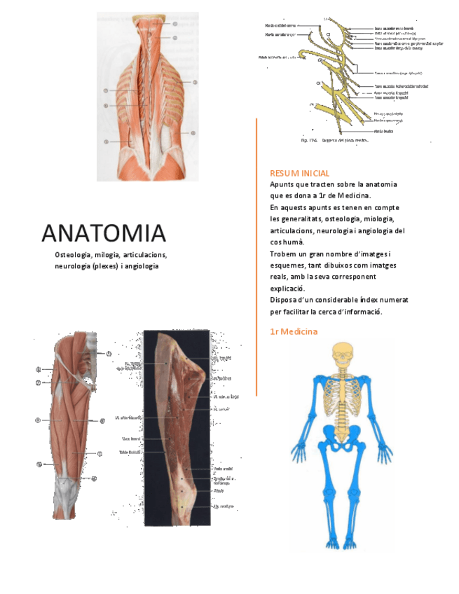 Miniatura del documento Anatomia M2 Part 1.pdf