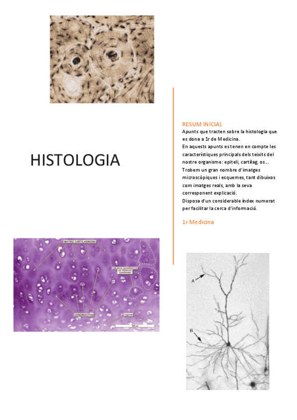 Miniatura del documento Histologia M2 Part 1.pdf