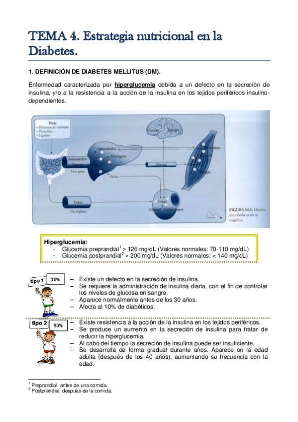 Miniatura del documento TEMA 4. Estrategia nutricional en la diabetes..pdf