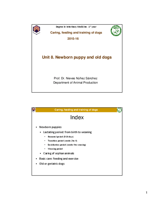 Miniatura del documento Unit 8. Newborn puppies and old dogs.pdf